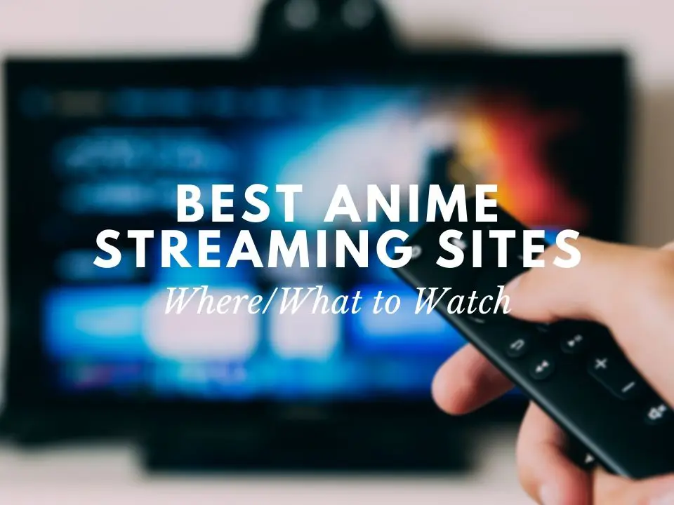 Alternatif Streaming Anime Legal Layanan Streaming Anime Legal