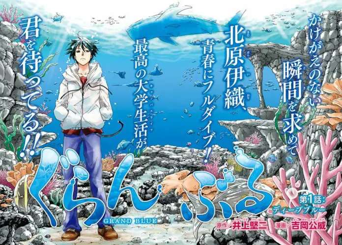 Petualangan seru Grand Blue Klub selam Grand Blue