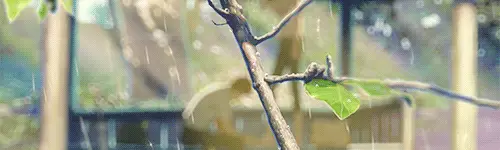 Keindahan alam dalam Kotonoha no Niwa Pemandangan indah dari anime Kotonoha no Niwa